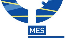 ES_ECSM_logo